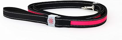 Night Scout Dog Leash - Pink