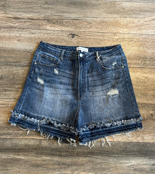 High Rise Patched Hem Shorts (Plus)