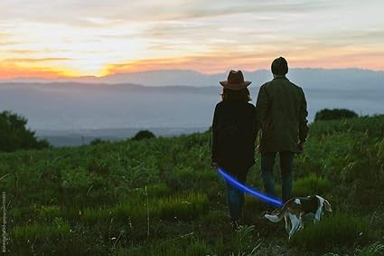 Night Scout Dog Leash - Pink