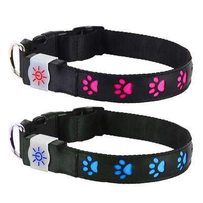 Night Scout Dog Collar