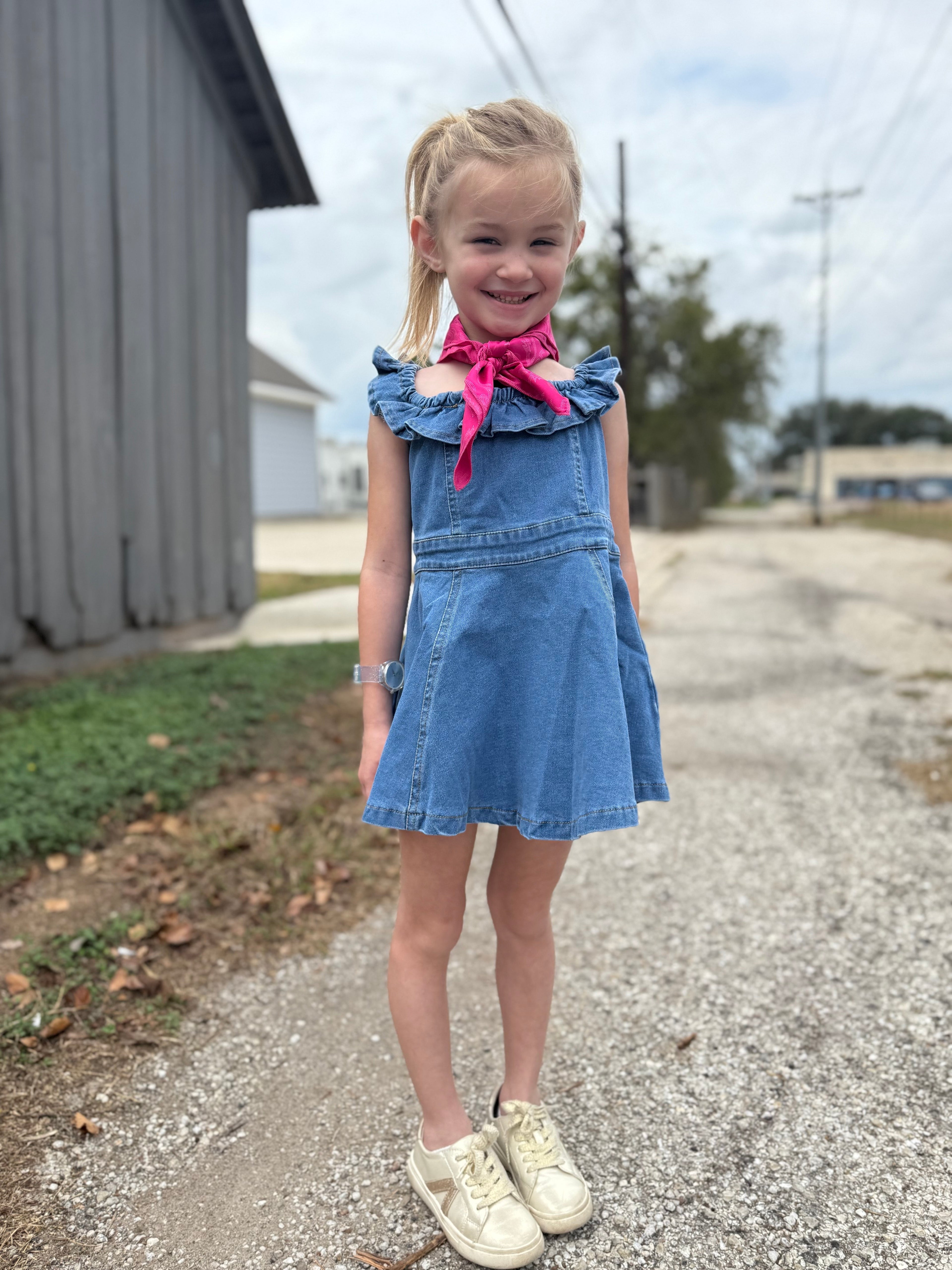 Girls Denim Ruffle Dress