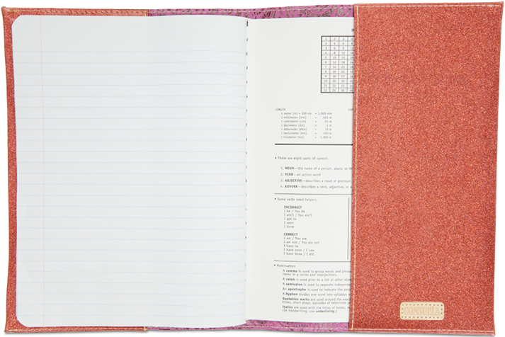 CONSUELA MENA NOTEBOOK 3501