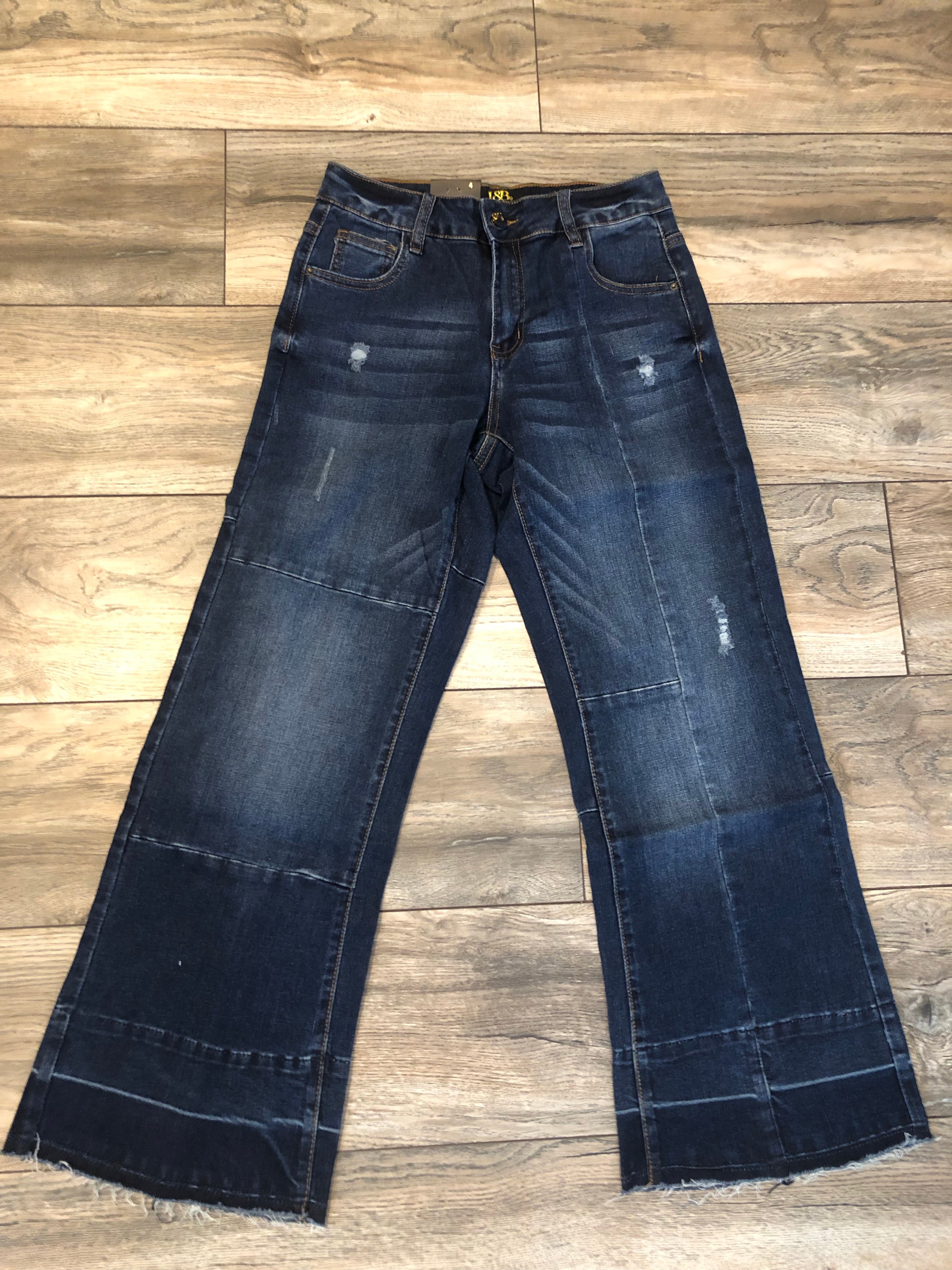 L&B Distressed Jeans (SIZE 24) *FINAL SALE*