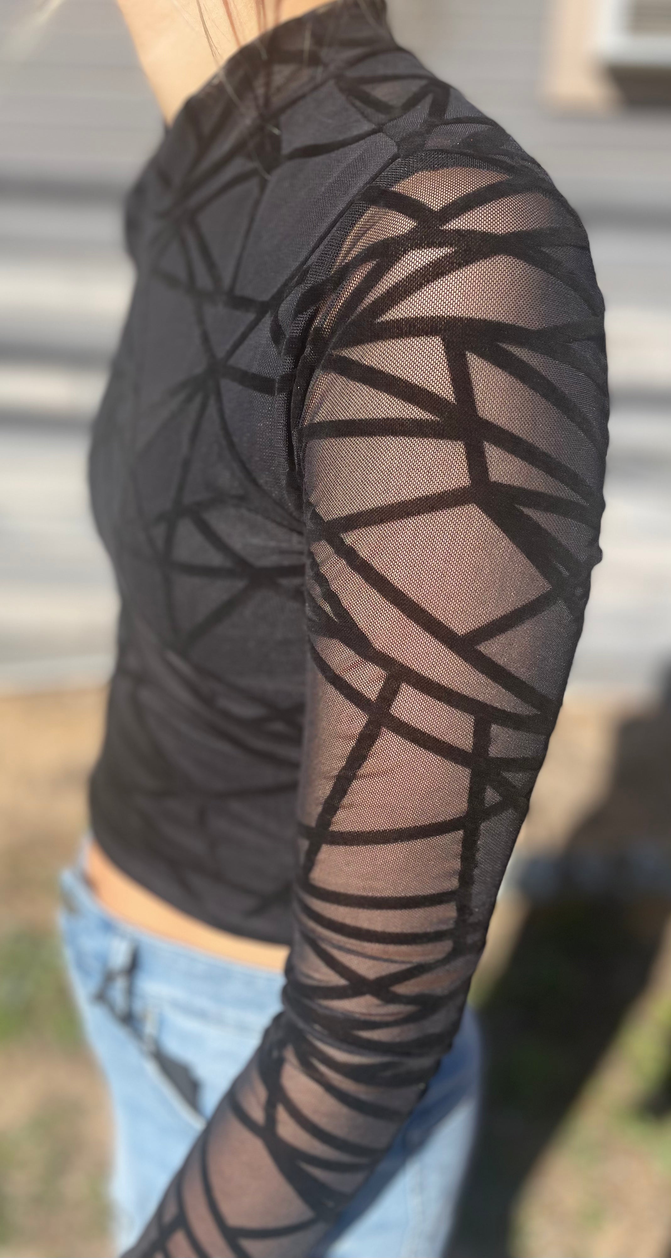 Mesh Black Lined Crop Top