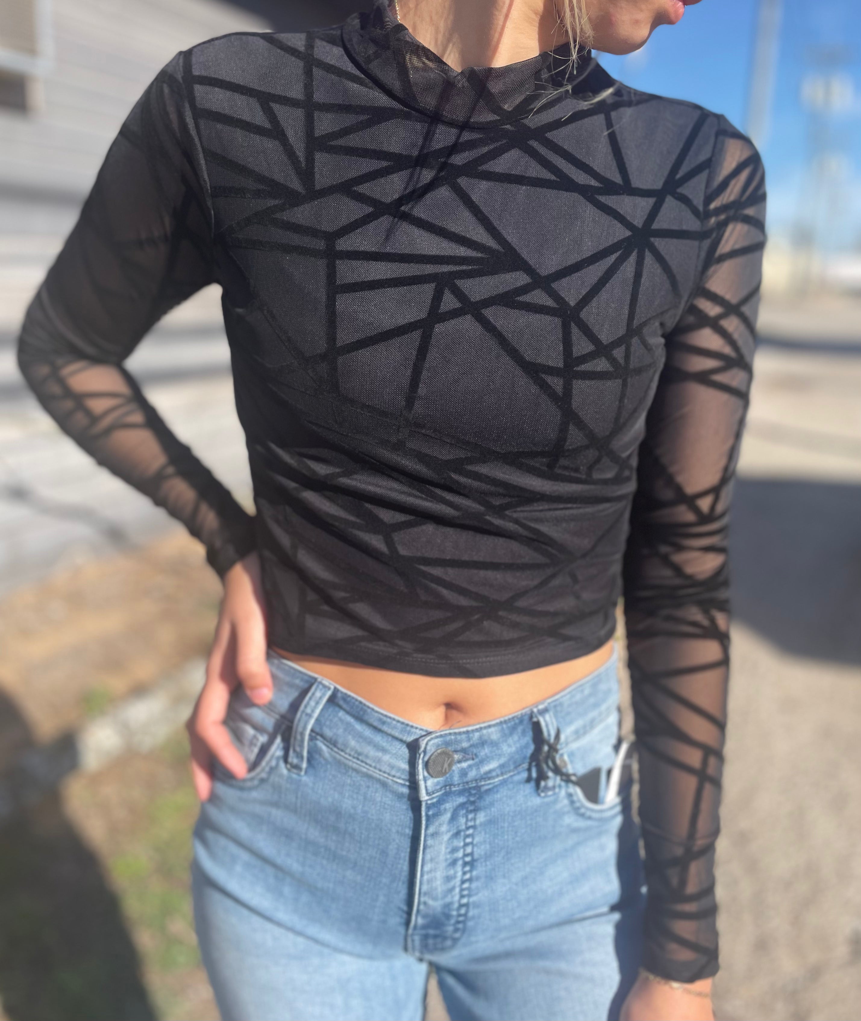 Mesh Black Lined Crop Top